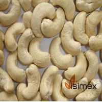 CASHEW NUT W240, W320, LP, SP, WS, DW - HIGH QUALITY