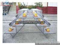 Battery pullet rearing cage in china for sale