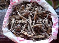 dried fish maw and dried seahorse