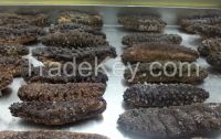 Supply Dry Sea Cucumber Best Quality