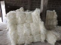 Quality 100% natural raw sisal fiber sisal fibre white