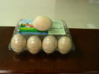 egg tray, egg carton, egg box