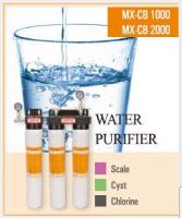 MAXTREAM commercial filtration system (Drinking water