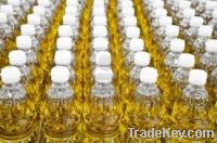 sunflower OIL