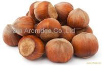 Sell Raw Hazelnuts (filberts)