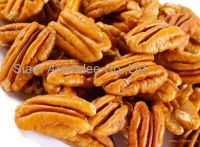 Sell Raw Pecan Nuts