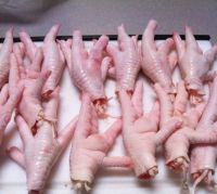 Sell Frozen chicken feet, processed, grade A.