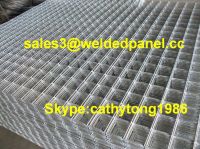 galvanized welded wire mesh panels