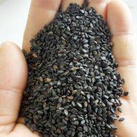 good quality black sesame seed provided