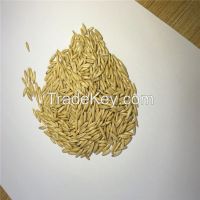 White oat with top quality
