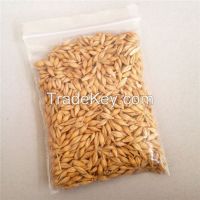 certificated premier animal feed barley in bulk supply barley price best