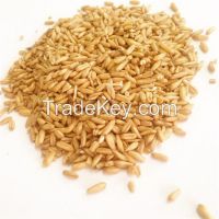 Premium grade of peeled oats
