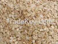 cheap price jumbo oats