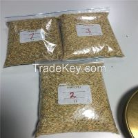 the hulled oat with husk for food production and animal feed used