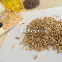 milling oat with best price