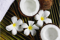 Refined coconut oil(RBD coconut oil), coconut cooking oil, coconut oil