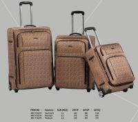 Fashionable Printing Fabric Trolley Carry-on Spinner Soft Nylon Luggage Set 3 PCS