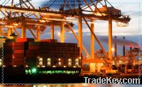 Sell sea freight and logistics service ningbo to india