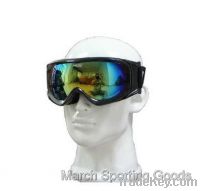 Deluxe Snowboard Ski Goggles Skating Snow Sports Eyewear Dual PC Lens