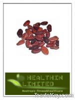 Natural Theobromine(Cocoa extract)