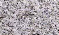 Sell china granite,G603