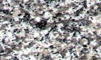 Sell china granite,G623