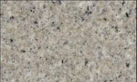 Sell china granite,G801