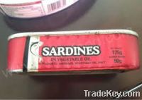 Canned Sardines Fish