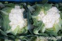 Fresh Cauliflower