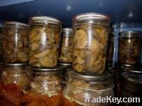 Canned Mushrooms