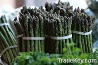 Fresh Asparagus for sale