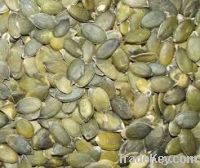 Pumpkin Kernels for sale