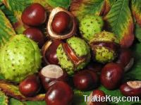 Chestnuts