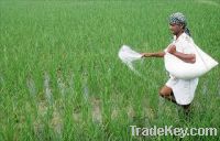 Fertilizers For Sale