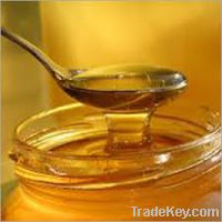 100% Pure Natural Bee Honey