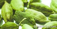 Green Cardamom For Sale