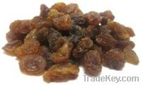 Sultana Raisins