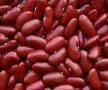 Red Kidney Bean