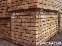 Mahogany Timber for sale