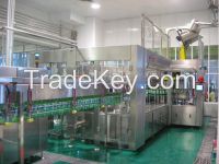 3 in 1 Ice Tea Filling Processing Line with Packing Machine and Water Treatment Equipment