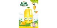 Private Label Products Fruit Nectar 2L With Grap Flavor