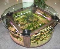sell aquarium fish tank