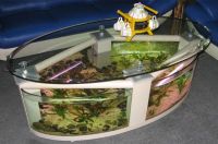 Sell coffee table fish tank