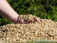 Wood Pellets For Sale