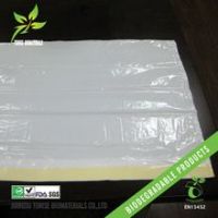EN13432 Biodegradable Flat Open Drawstring Bag