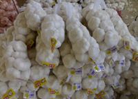 White Garlic/ IQF Frozen garlic, Purple garlic, dehydrated garlic flakes wholesale