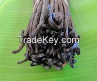 Sell High Quality Vanilla Beans