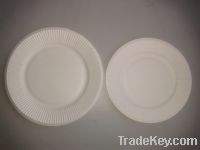 disposable white party paper plate