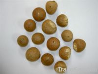 Areca Nuts Whole