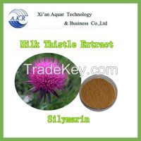 herb medicine protect liver milk Thistle extract silymarin